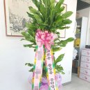 고향꽃화원 이미지