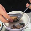 만덕로 | 강아지랑 제주도 4박 5일 여행 | 제주 시청 구좌 코스, 유니클로 회심 픽업 카페 1등 빵귿 모알보알...