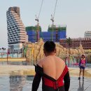 비데파크
