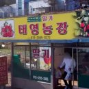 쌍림농장 이미지