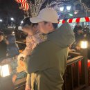 불꽃게임랜드 이미지