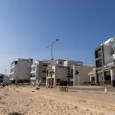 바다비행사 이미지