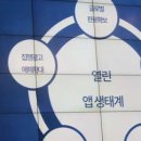 주식회사 어가유통 네이버블로그