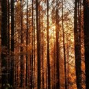 버스정류소_동교동삼거리 이미지