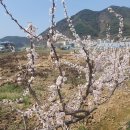 성산떡방앗간 이미지