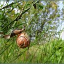 동대문한의원 이미지