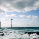 탐라태양광발전소 이미지