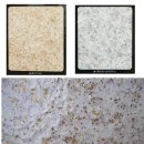 입주 청소//새집증후군//줄눈//광택//루벤스톤 전문업체 애니크린입니다 이미지