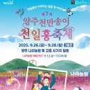 천일홍축제 이미지