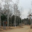 H9065 이미지