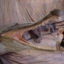 사르코수쿠스 이미지