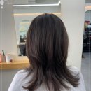 일산로 636번길 이미지