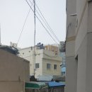 유진이용원 네이버블로그