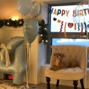 이브겨울이네펜션 | [인천] 강화도 애견동반 펜션 '일리스테이' B타입 겨울 방문 후기(+반려견 생일파티)