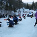 거창 금원산자연휴양림 얼음축제(2월3일까지) 동심으로 돌아가 체험해 보시면~~~ 이미지