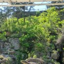 백운태권도장 | 14. 2025년 총정리 上