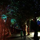 죽녹원로 이미지