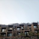 제천북로(2)L | [제천] 포레스트 리솜 G40 빌라 클린 객실 l 해브나인 나이트 스파 후기(+카트 이용 꿀팁)