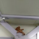 초이카모터스 이미지