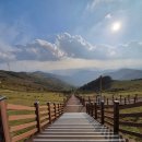 육백마지기 이미지