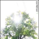 함계정사 이미지