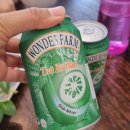 A-PHO | 멜번 스프링베일 Mr pho hoa hoi vang 쌀국수 후기