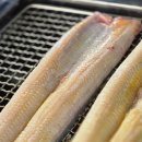 금빛장어 이미지