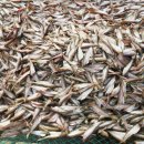 경정3리경로당 이미지