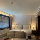 포근 | 서울 신라호텔에서 포근했던 호캉스 후기