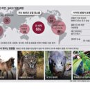 인천의 깃대종 이야기 이미지