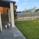 더 따숲 | [산강숙소]경주 따숲