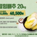 배추몰