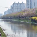 간선-14 이미지