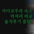 뷰모텔 | 카이코우라 호텔 모텔 리조트 | 럭셔리 오션뷰 친절 서비스 비교 | 실제 숙박 솔직 후기 분석 정리...