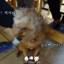 다미민박 이미지