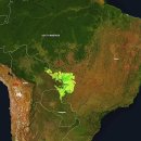 '진화작업'…세계자연유산 브라질 판타날 늪지대 화재 - 기록적 폭염 이미지