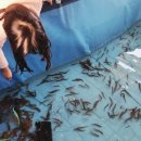 호미농장 | 용인 아이랑 갈만한 곳, 체험농장 헤븐온어스 후기