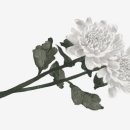 제니코인노래연습장 이미지