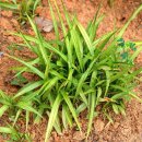 길상초등학교 이미지