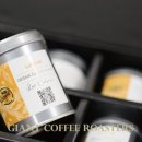 상록자이언트 이미지