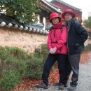 환희풍천장어 이미지