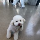 올데이 그루밍 이미지