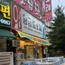 싱싱포차산오징어 - 달서구 달구벌대로344길 48 | 수완지구 맛집 황금회포차에서 산오징어회랑 매운탕 뿌시고 온 후기