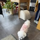 쏠티뮤직스튜디오 이미지
