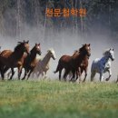 성기목장 이미지