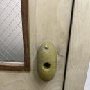 클럽스파이더클라이밍 이미지