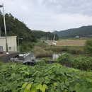 회천생태공원 야구장 이미지