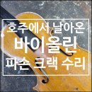 안스트링 이미지