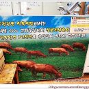 순천한우식육식당 네이버블로그