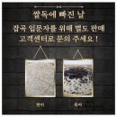 쌀독에빠진날 백미 충남 청남 맛있는쌀 추천